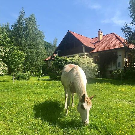Modryna Ranczo Bed & Breakfast Krasiczyn Bagian luar foto