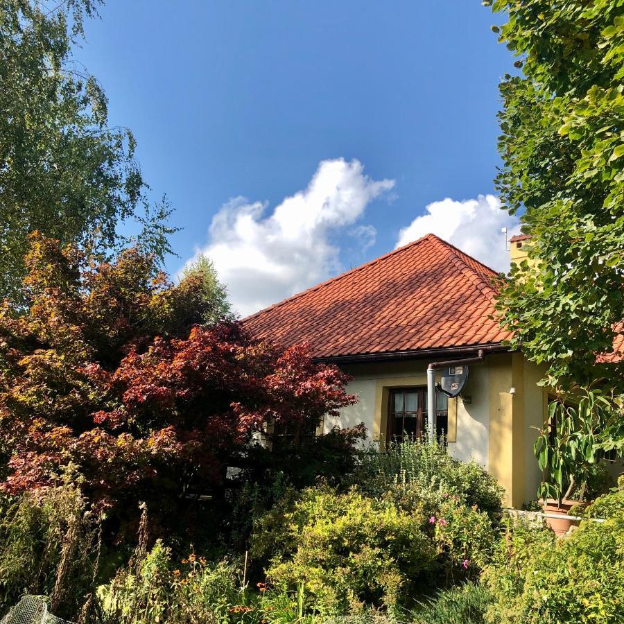 Modryna Ranczo Bed & Breakfast Krasiczyn Bagian luar foto