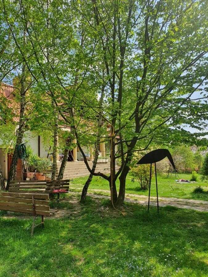 Modryna Ranczo Bed & Breakfast Krasiczyn Bagian luar foto