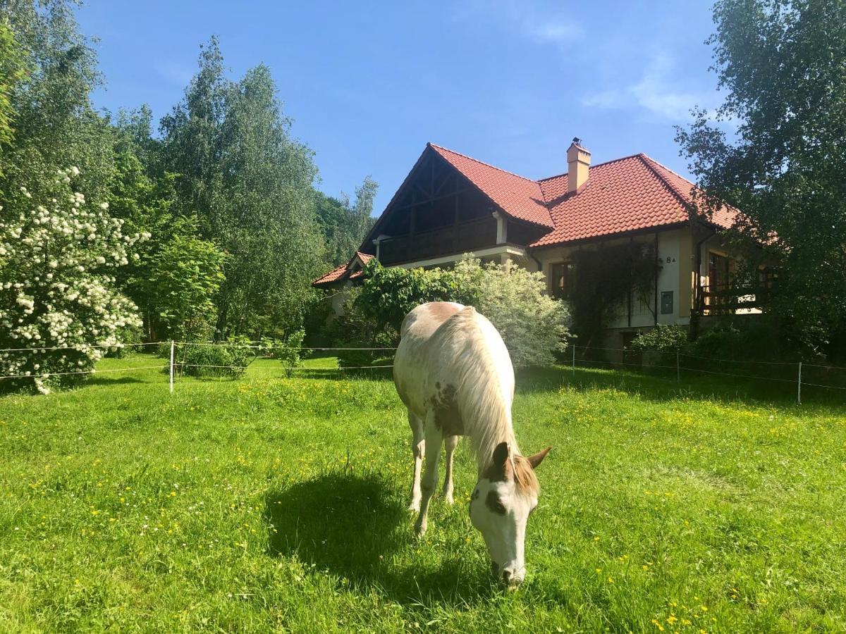 Modryna Ranczo Bed & Breakfast Krasiczyn Bagian luar foto