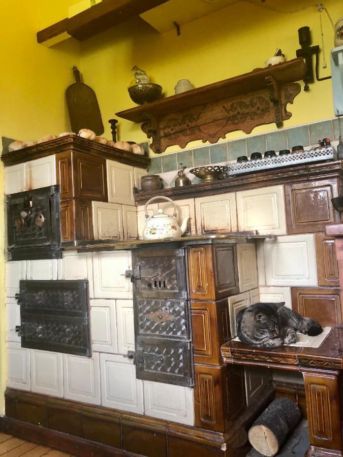 Modryna Ranczo Bed & Breakfast Krasiczyn Bagian luar foto
